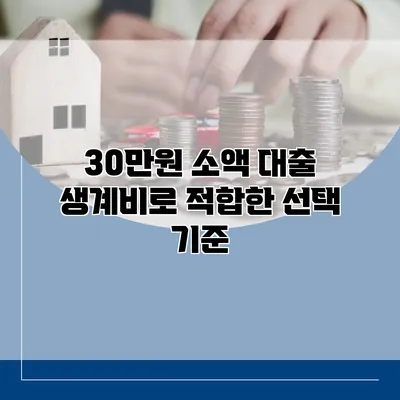30만원 소액 대출 생계비로 적합한 선택 기준