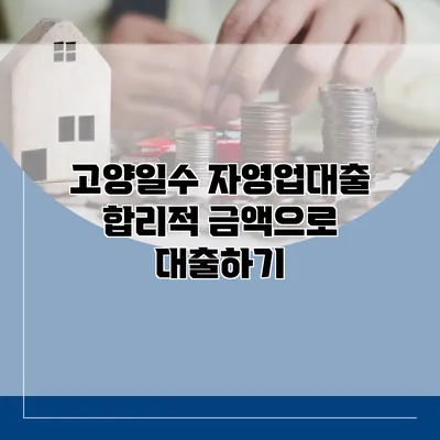고양일수 자영업대출 합리적 금액으로 대출하기
