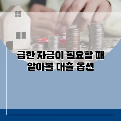 급한 자금이 필요할 때 알아볼 대출 옵션