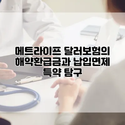 메트라이프 달러보험의 해약환급금과 납입면제 특약 탐구