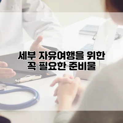 세부 자유여행을 위한 꼭 필요한 준비물