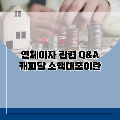 연체이자 관련 Q&A 캐피탈 소액대출이란?