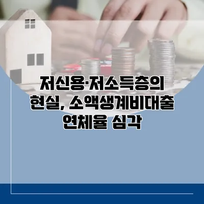 저신용·저소득층의 현실, 소액생계비대출 연체율 심각