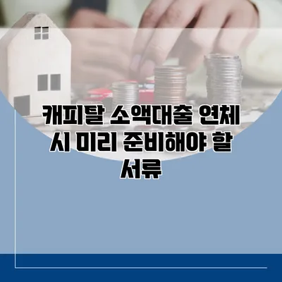 캐피탈 소액대출 연체 시 미리 준비해야 할 서류