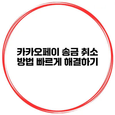 카카오페이 송금 취소 방법 빠르게 해결하기